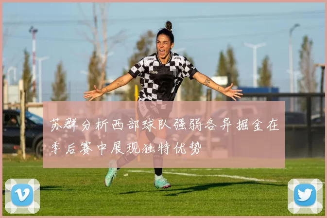 苏群分析西部球队强弱各异掘金在季后赛中展现独特优势