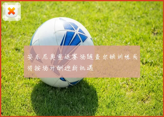 安东尼奥重返赛场随查尔顿训练或将按场计酬迎新机遇
